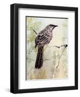 A Special Place Any Time of the Day-Trudy Rice-Framed Art Print