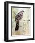 A Special Place Any Time of the Day-Trudy Rice-Framed Art Print