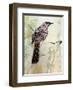 A Special Place Any Time of the Day-Trudy Rice-Framed Art Print
