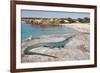 A Spectacular Male Ibiza Wall Lizard Sits Atop the Cliffs of Cala Saona, Formentera, Spain-Day's Edge Productions-Framed Photographic Print