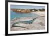 A Spectacular Male Ibiza Wall Lizard Sits Atop the Cliffs of Cala Saona, Formentera, Spain-Day's Edge Productions-Framed Photographic Print