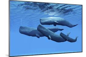 A Sperm Whale Family Swimming Together-null-Mounted Premium Giclee Print