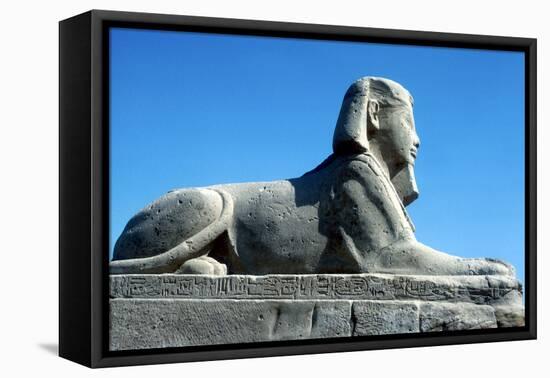 A Sphinx from the Avenue of Sphinxes, Temple Sacred to Amun Mut and Khons, Luxor, Egypt, C370 Bc-CM Dixon-Framed Stretched Canvas