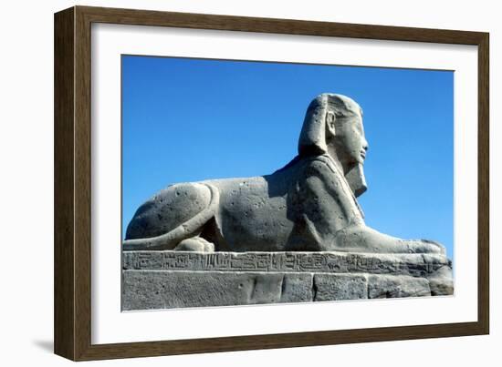 A Sphinx from the Avenue of Sphinxes, Temple Sacred to Amun Mut and Khons, Luxor, Egypt, C370 Bc-CM Dixon-Framed Photographic Print