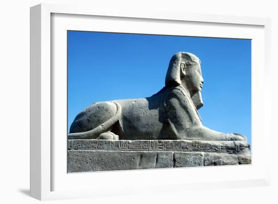 A Sphinx from the Avenue of Sphinxes, Temple Sacred to Amun Mut and Khons, Luxor, Egypt, C370 Bc-CM Dixon-Framed Photographic Print