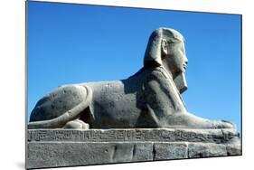 A Sphinx from the Avenue of Sphinxes, Temple Sacred to Amun Mut and Khons, Luxor, Egypt, C370 Bc-CM Dixon-Mounted Photographic Print