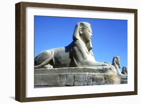 A Sphinx from the Avenue of Sphinxes, Temple Sacred to Amun Mut and Khons, Luxor, Egypt, C370 Bc-CM Dixon-Framed Photographic Print