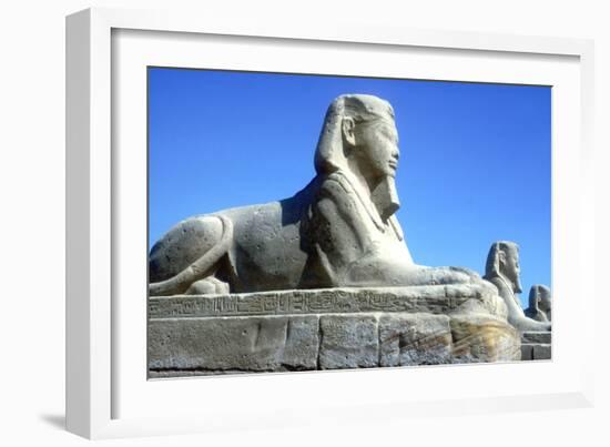 A Sphinx from the Avenue of Sphinxes, Temple Sacred to Amun Mut and Khons, Luxor, Egypt, C370 Bc-CM Dixon-Framed Photographic Print