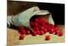 A Spilled Bag of Cherries-Antoine Vollon-Mounted Giclee Print