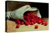 A Spilled Bag of Cherries-Antoine Vollon-Stretched Canvas