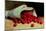 A Spilled Bag of Cherries-Antoine Vollon-Mounted Giclee Print