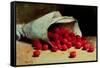 A Spilled Bag of Cherries-Antoine Vollon-Framed Stretched Canvas