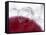 A Spilt Glass of Red Wine-null-Framed Stretched Canvas