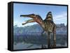 A Spinosaurus Searches for its Next Meal-Stocktrek Images-Framed Stretched Canvas