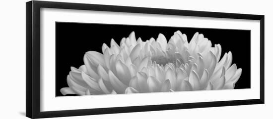 A Spiritual Power, 2006-Hiroyuki Arakawa-Framed Photographic Print