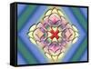 A Splash of Color 5-Art Deco Designs-Framed Stretched Canvas