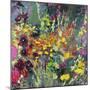 A Splash of Colour in the Garden-Sylvia Paul-Mounted Giclee Print