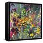 A Splash of Colour in the Garden-Sylvia Paul-Framed Stretched Canvas