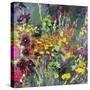 A Splash of Colour in the Garden-Sylvia Paul-Stretched Canvas