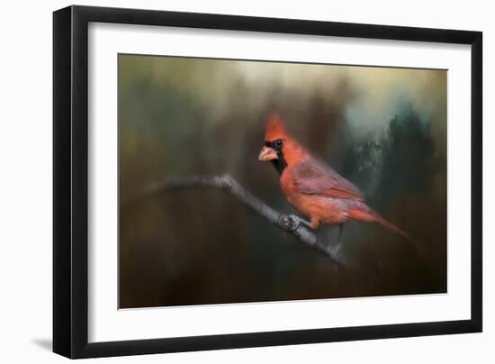 A Splash of Red-Jai Johnson-Framed Giclee Print