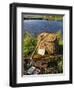 A Split-Cane Fly Rod and Traditional Fly-Fishing Equipment Beside a Trout Lake in North Wales, UK-John Warburton-lee-Framed Photographic Print