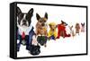 A Spoof On Business Images But With Dogs-graphicphoto-Framed Stretched Canvas