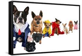 A Spoof On Business Images But With Dogs-graphicphoto-Framed Stretched Canvas