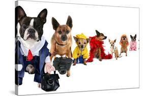 A Spoof On Business Images But With Dogs-graphicphoto-Stretched Canvas