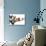 A Spoof On Business Images But With Dogs-graphicphoto-Photographic Print displayed on a wall