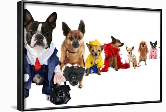 A Spoof On Business Images But With Dogs-graphicphoto-Framed Photographic Print