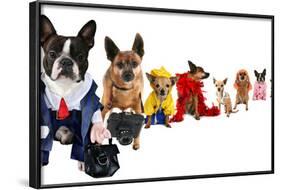 A Spoof On Business Images But With Dogs-graphicphoto-Framed Photographic Print