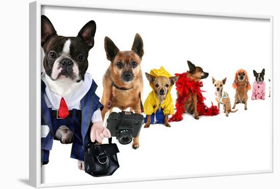 A Spoof On Business Images But With Dogs-graphicphoto-Framed Photographic Print