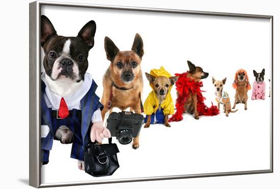 A Spoof On Business Images But With Dogs-graphicphoto-Framed Photographic Print