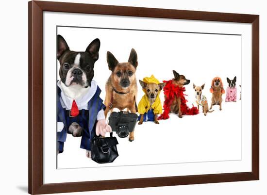 A Spoof On Business Images But With Dogs-graphicphoto-Framed Photographic Print