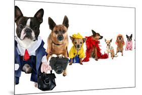 A Spoof On Business Images But With Dogs-graphicphoto-Mounted Photographic Print