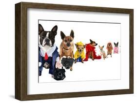 A Spoof On Business Images But With Dogs-graphicphoto-Framed Photographic Print