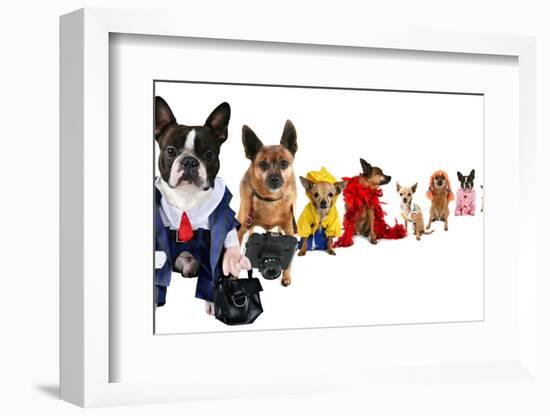 A Spoof On Business Images But With Dogs-graphicphoto-Framed Photographic Print