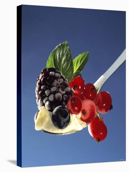 A Spoonful of Berries and Vanilla Pudding-Gaby Bohle-Stretched Canvas