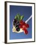 A Spoonful of Berries and Vanilla Pudding-Gaby Bohle-Framed Photographic Print
