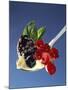 A Spoonful of Berries and Vanilla Pudding-Gaby Bohle-Mounted Photographic Print