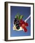 A Spoonful of Berries and Vanilla Pudding-Gaby Bohle-Framed Photographic Print