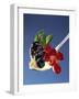 A Spoonful of Berries and Vanilla Pudding-Gaby Bohle-Framed Photographic Print