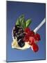 A Spoonful of Berries and Vanilla Pudding-Gaby Bohle-Mounted Photographic Print