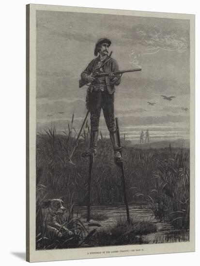 A Sportsman of the Landes (France)-Frank Dadd-Stretched Canvas