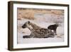 A spotted hyena and cub (Crocuta crocuta) at the den, Khwai Concession, Okavango Delta, Botswana, A-Sergio Pitamitz-Framed Photographic Print