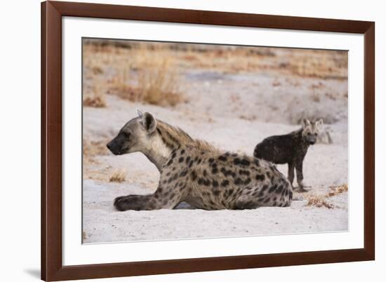 A spotted hyena and cub (Crocuta crocuta) at the den, Khwai Concession, Okavango Delta, Botswana, A-Sergio Pitamitz-Framed Photographic Print