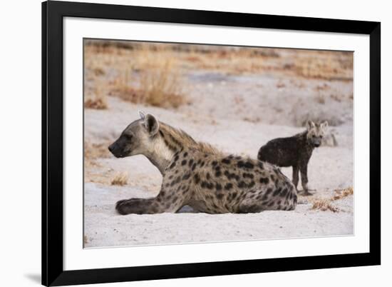 A spotted hyena and cub (Crocuta crocuta) at the den, Khwai Concession, Okavango Delta, Botswana, A-Sergio Pitamitz-Framed Photographic Print