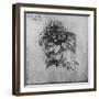 'A Spray of a Plant', c1480 (1945)-Leonardo Da Vinci-Framed Giclee Print