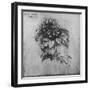 'A Spray of a Plant', c1480 (1945)-Leonardo Da Vinci-Framed Giclee Print