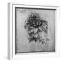 'A Spray of a Plant', c1480 (1945)-Leonardo Da Vinci-Framed Giclee Print